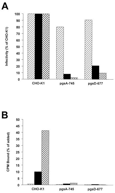 FIG. 6