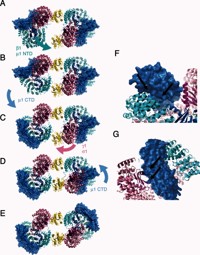 Figure 10