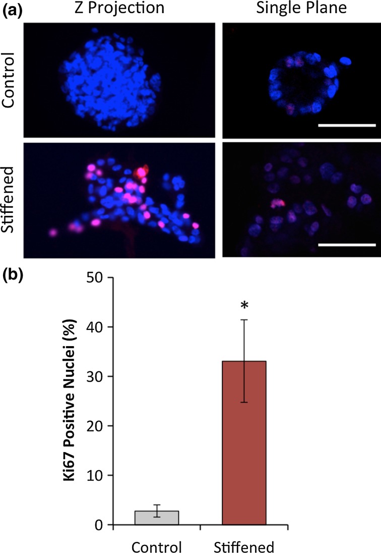 Figure 5