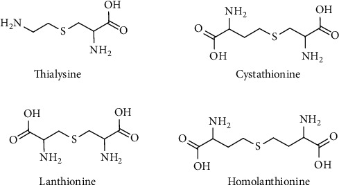 Figure 19