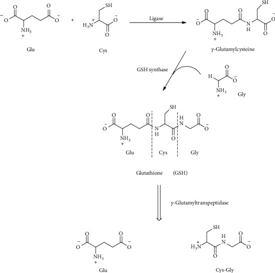 Figure 14