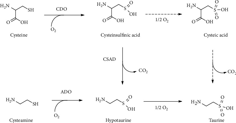 Figure 17