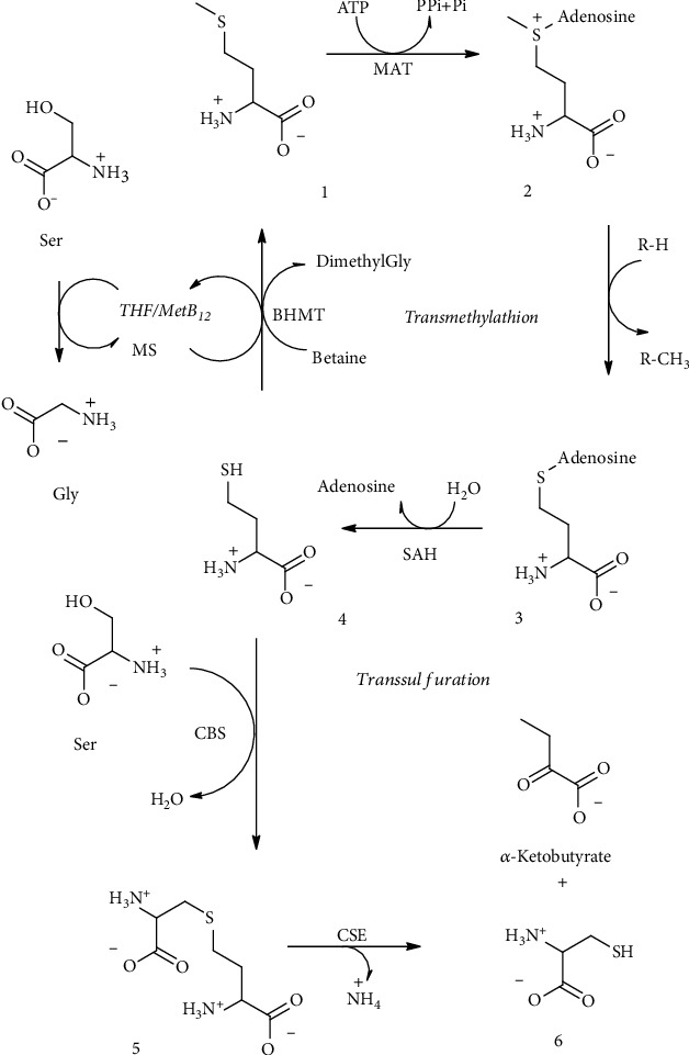 Figure 11