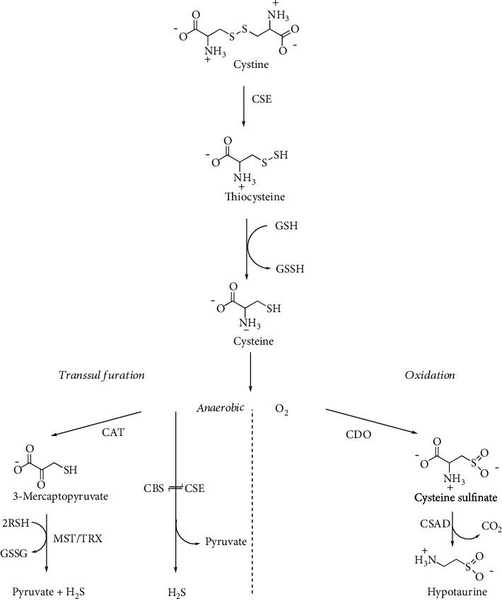 Figure 13