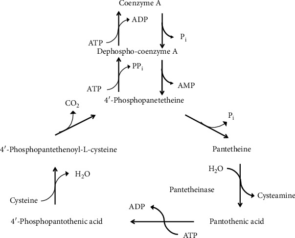 Figure 16