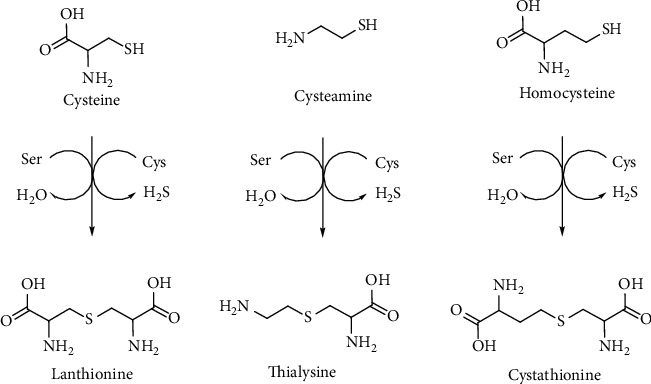 Figure 20