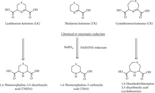 Figure 22