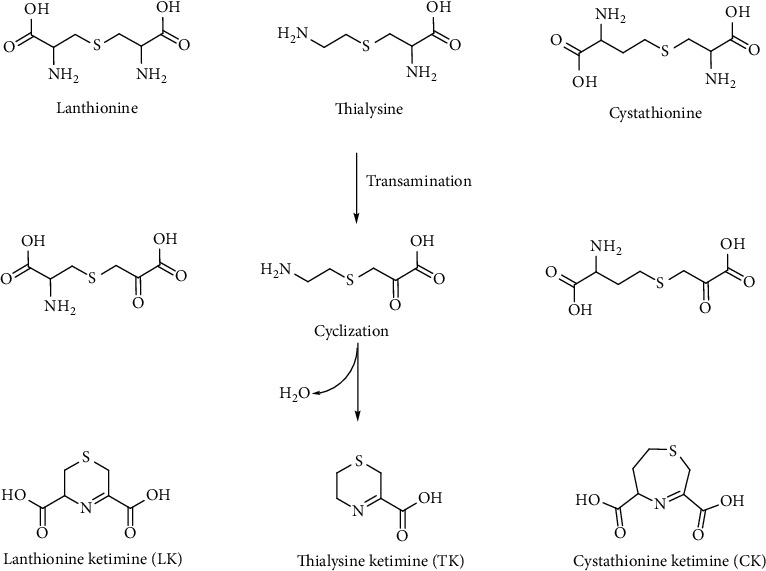 Figure 21