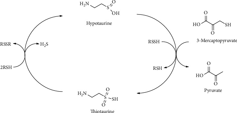 Figure 18