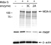 FIG. 5.