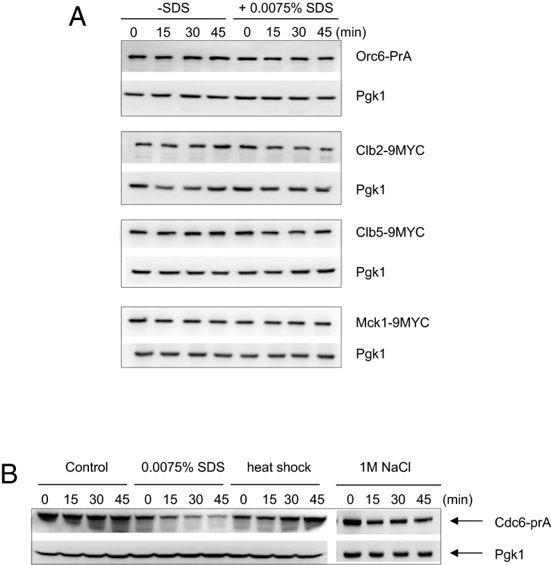 Fig. S3.