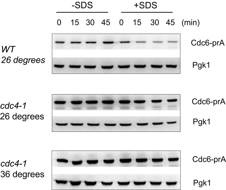 Fig. S4.