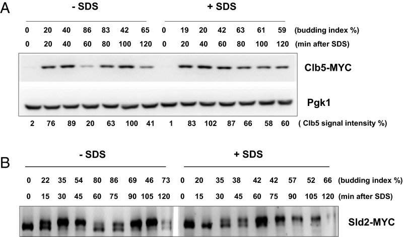 Fig. S1.