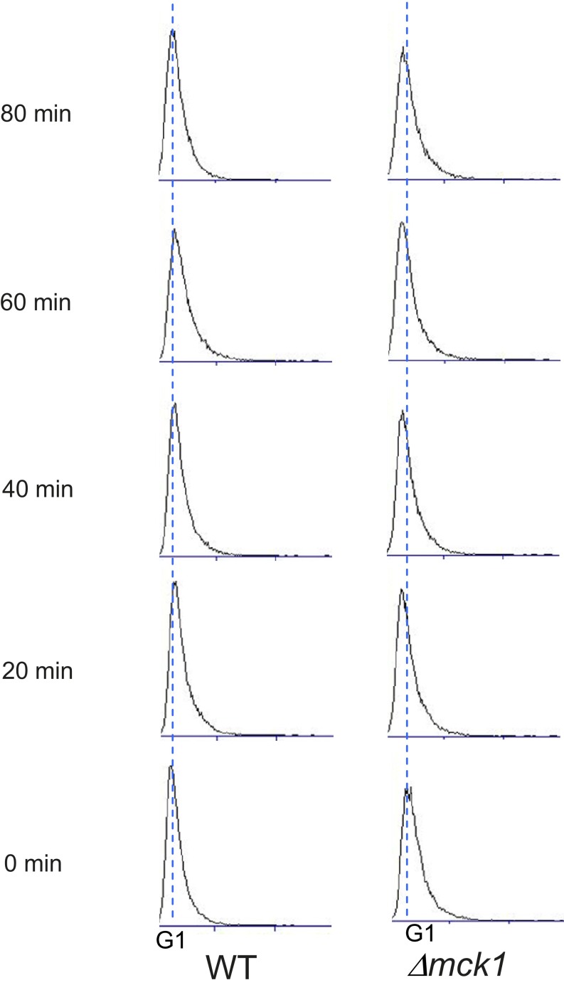 Fig. S6.