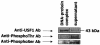 FIG. 8.
