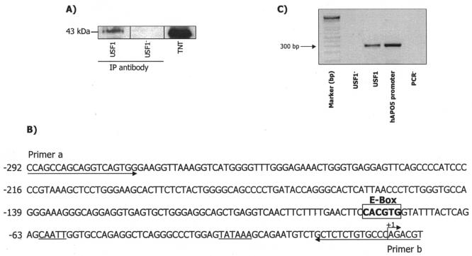 FIG. 5.