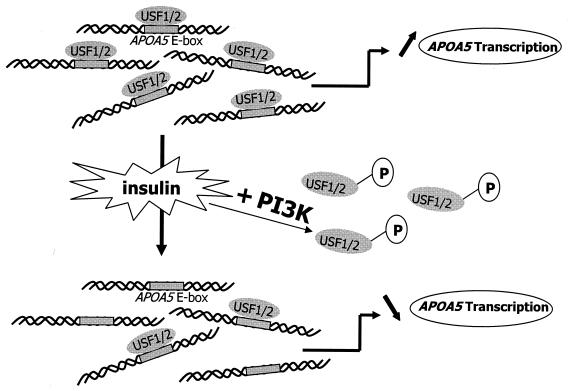 FIG. 10.