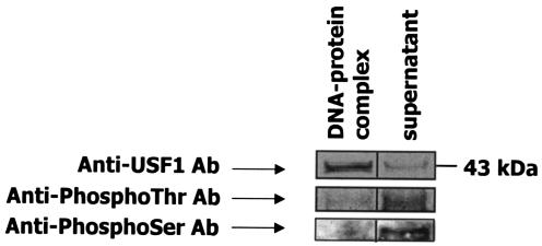 FIG. 8.