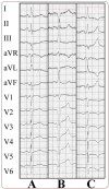FIGURE 1.