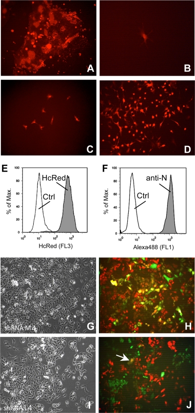 FIG. 4.