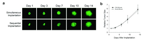 Supplementary Figure 1. 