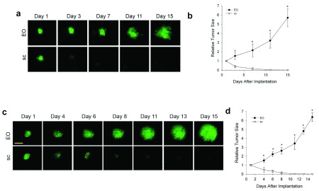 Supplementary Figure 2. 