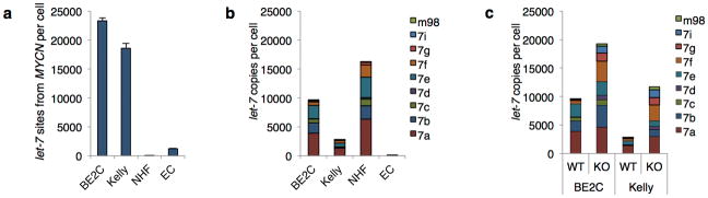 Extended Data 7