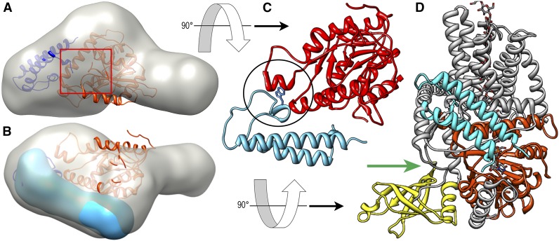 Figure 5.