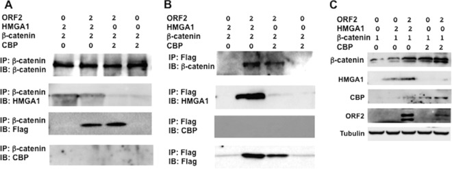 FIG 3