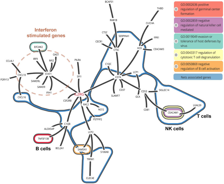 Figure 6