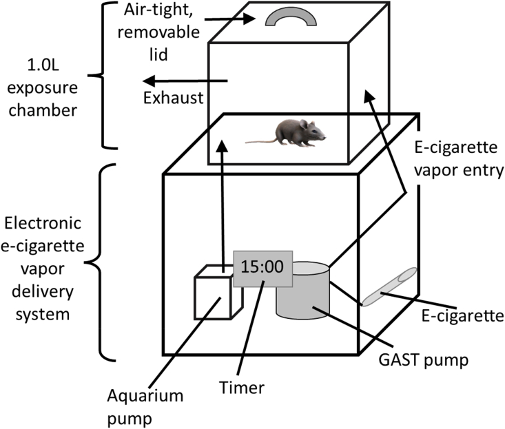 Fig. 2