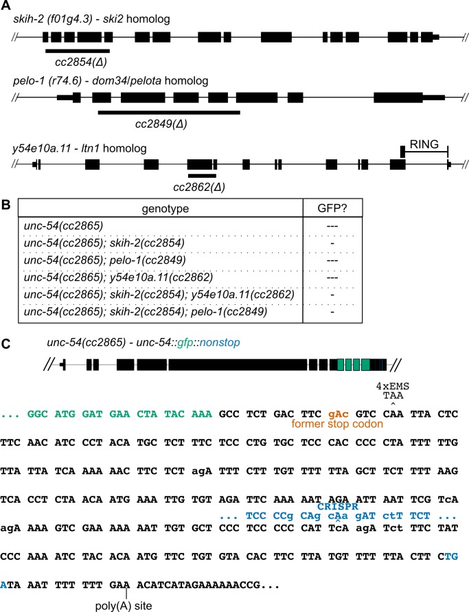 Figure 1—figure supplement 1.