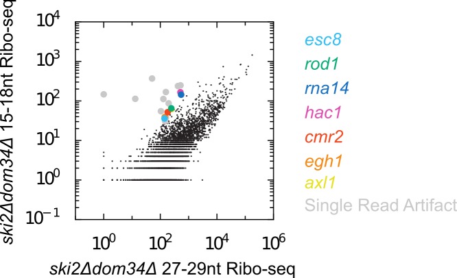 Figure 4—figure supplement 1.