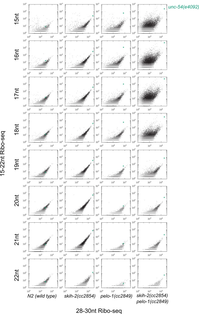 Figure 3—figure supplement 1.