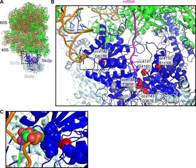 Figure 2—figure supplement 2.