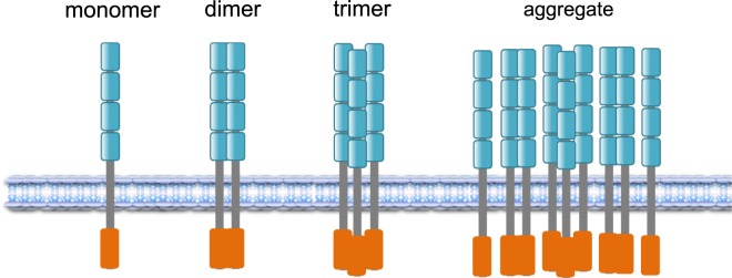 Fig. 1.