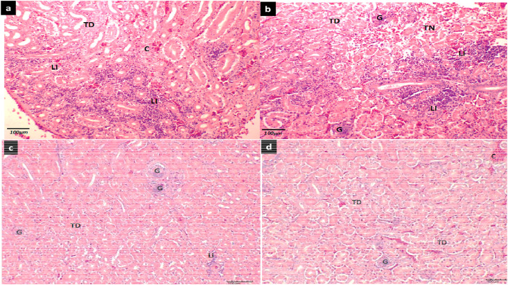 Fig. 9