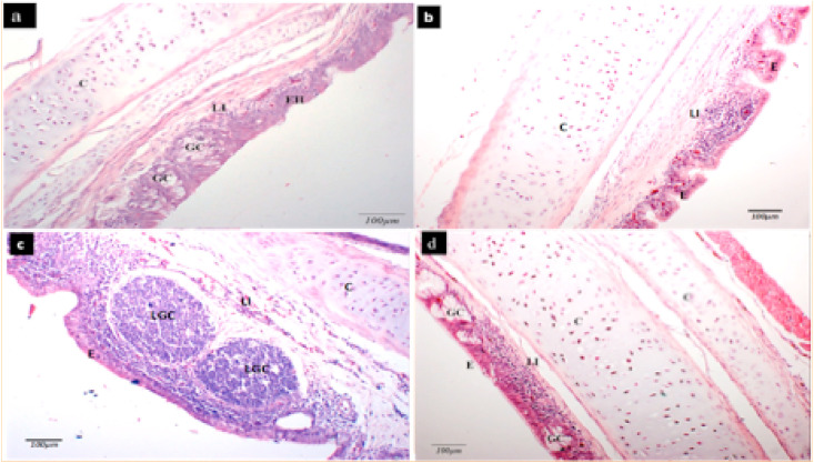 Fig. 8