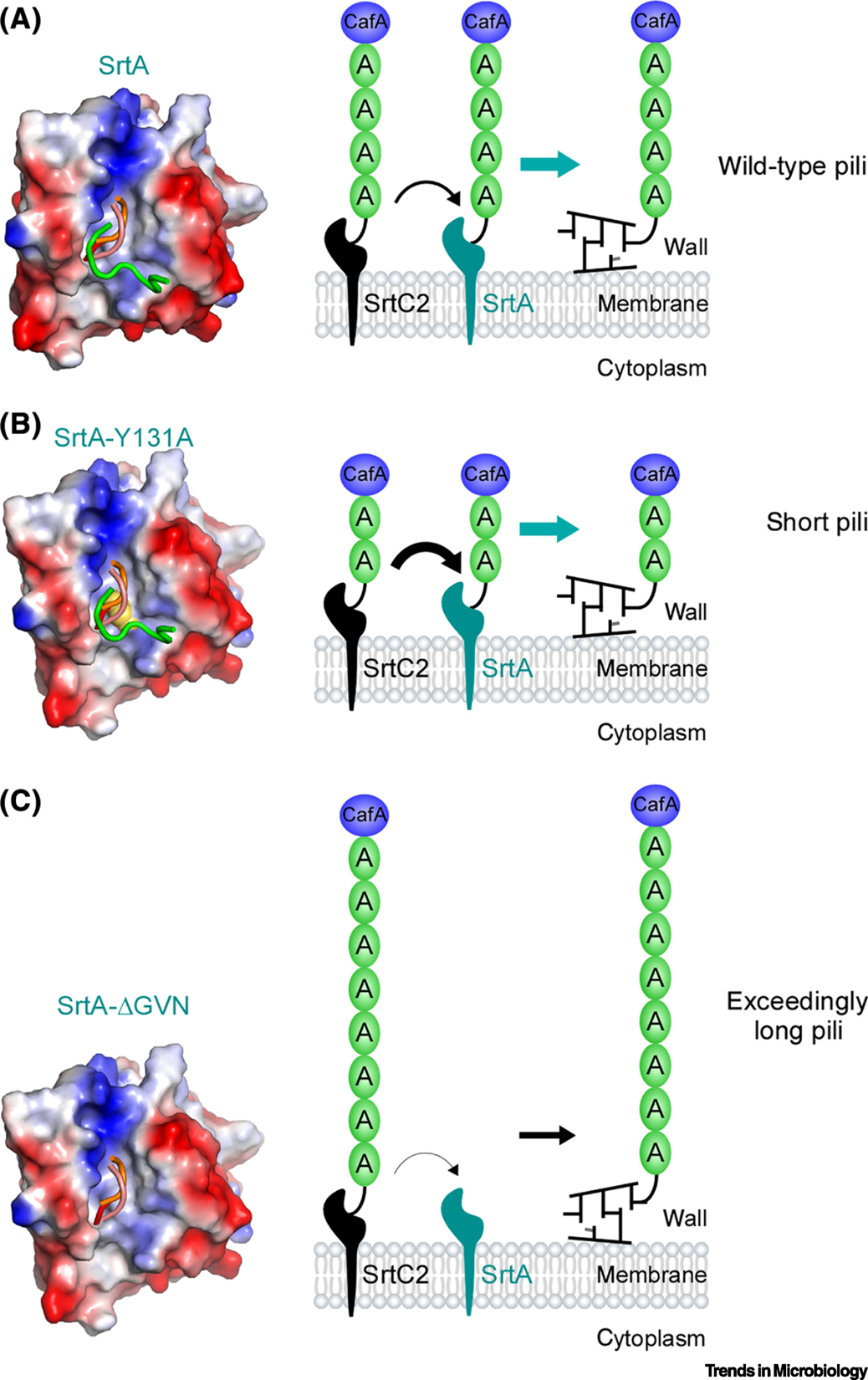 Figure 3: