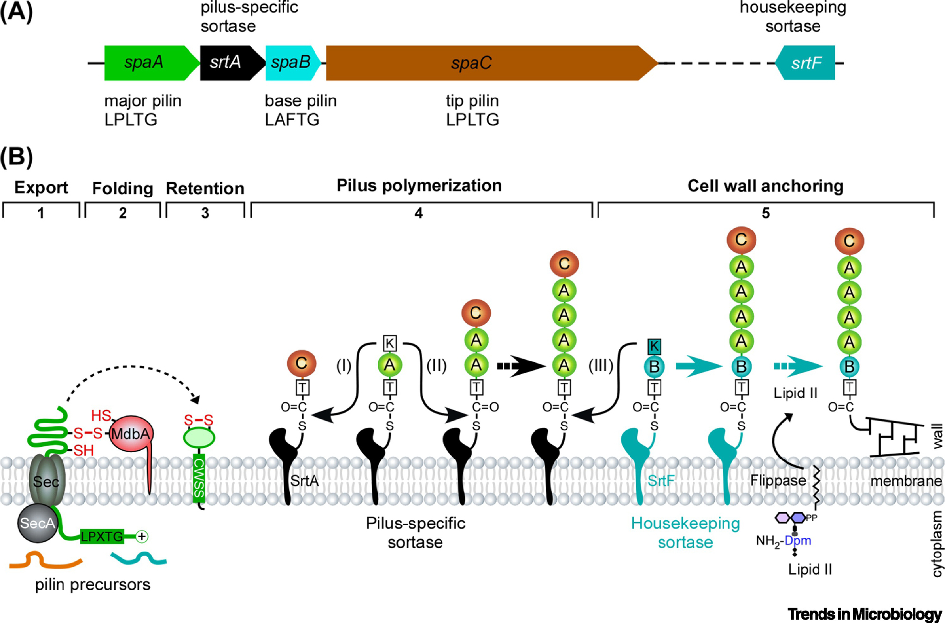 Figure 1: