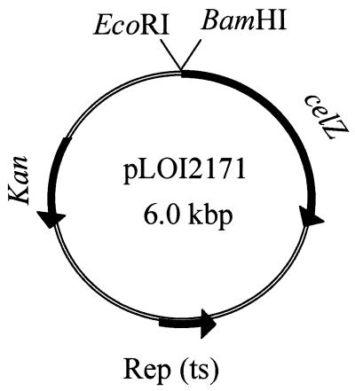 FIG. 1