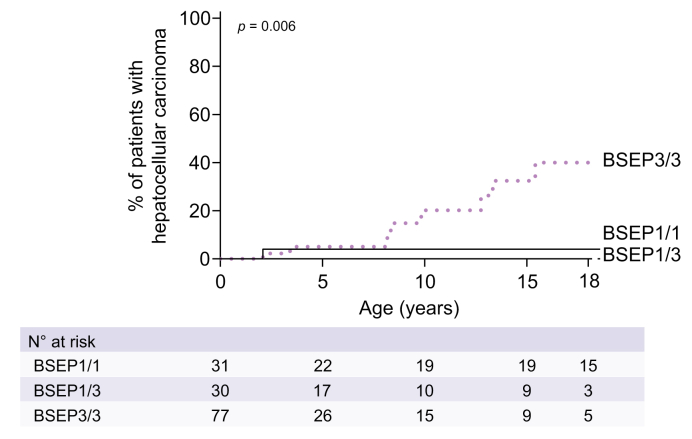 Fig. 7