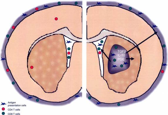 Fig. (1)