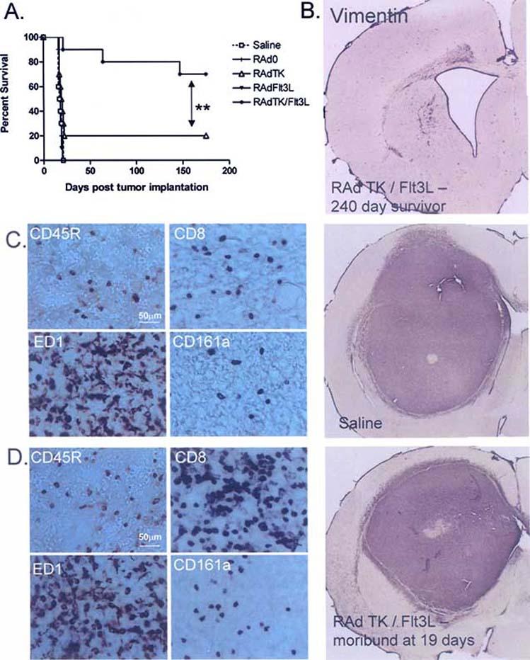 Fig. (2)