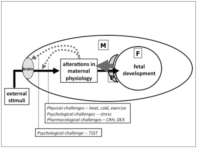 FIGURE 1