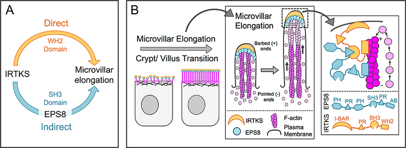 Figure 7: