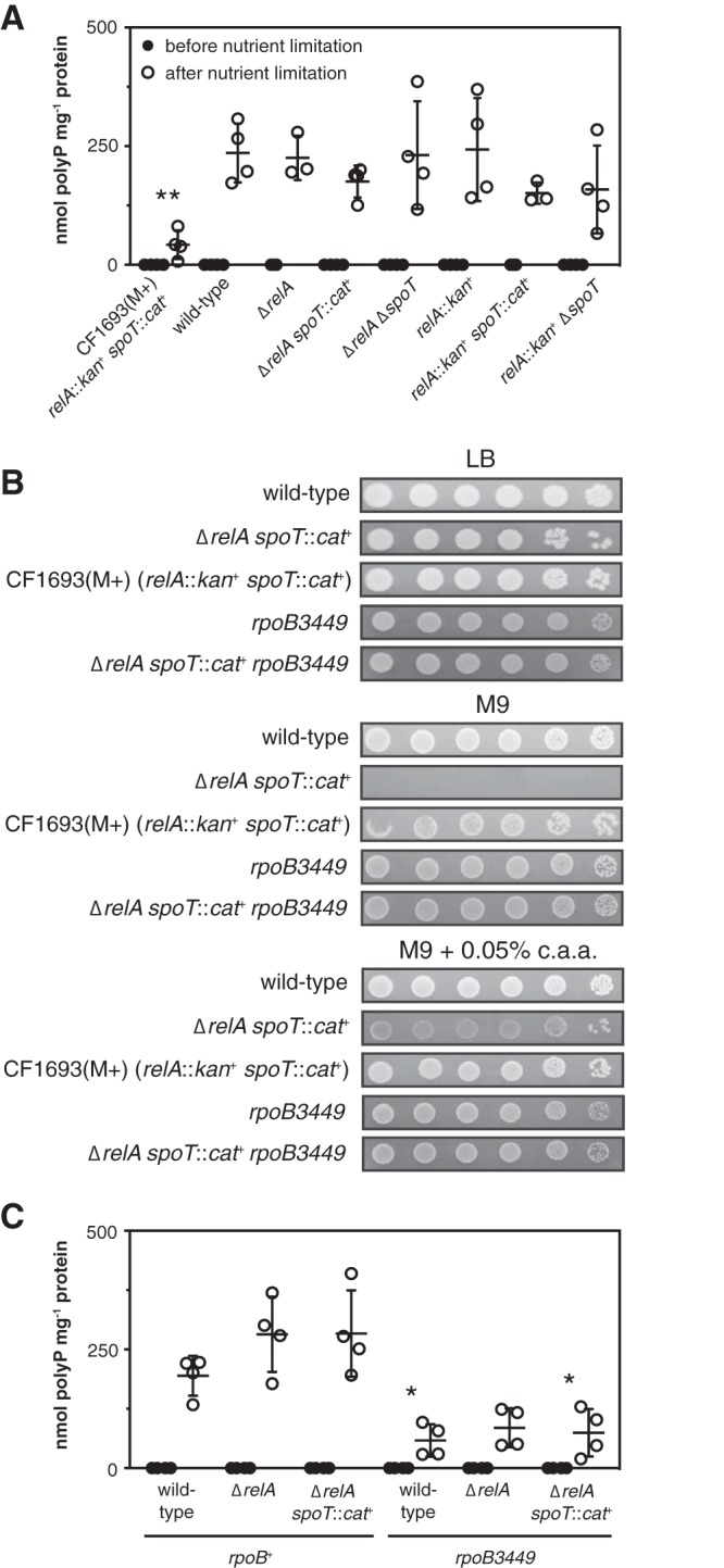 FIG 2