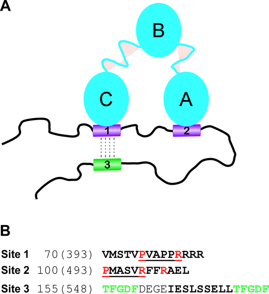 Fig. 8.