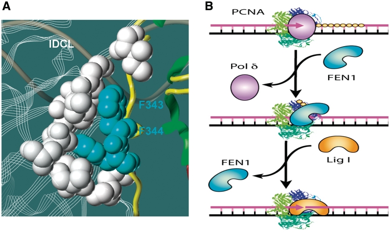 Figure 4.