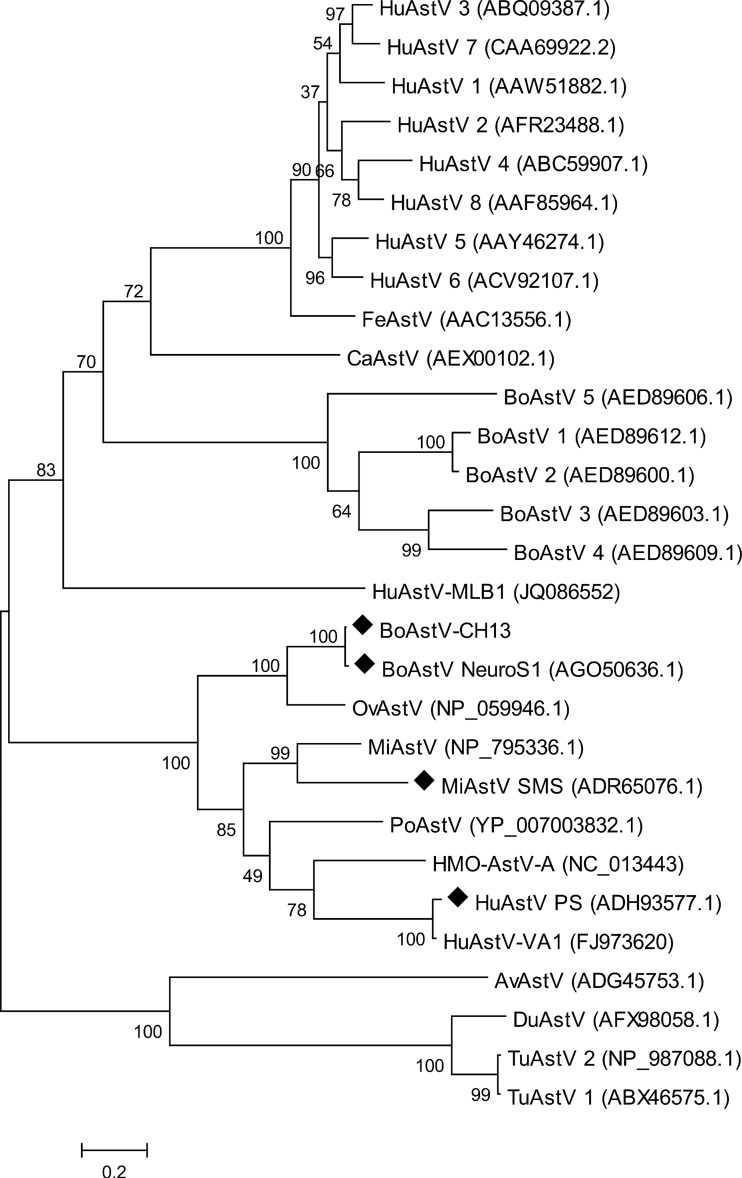 FIG 3